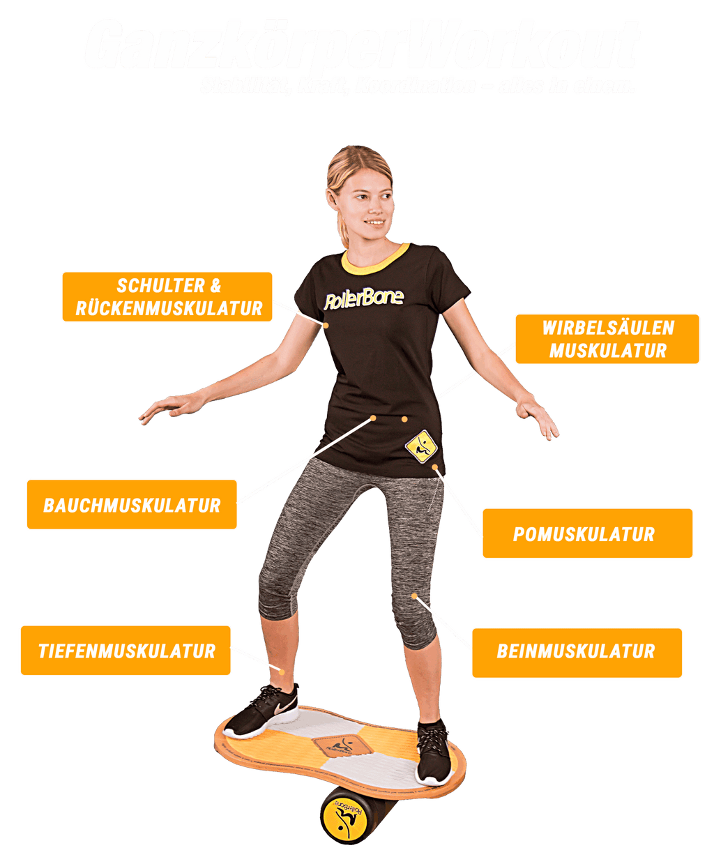 Roller Bone Gleichgewichts Trainer