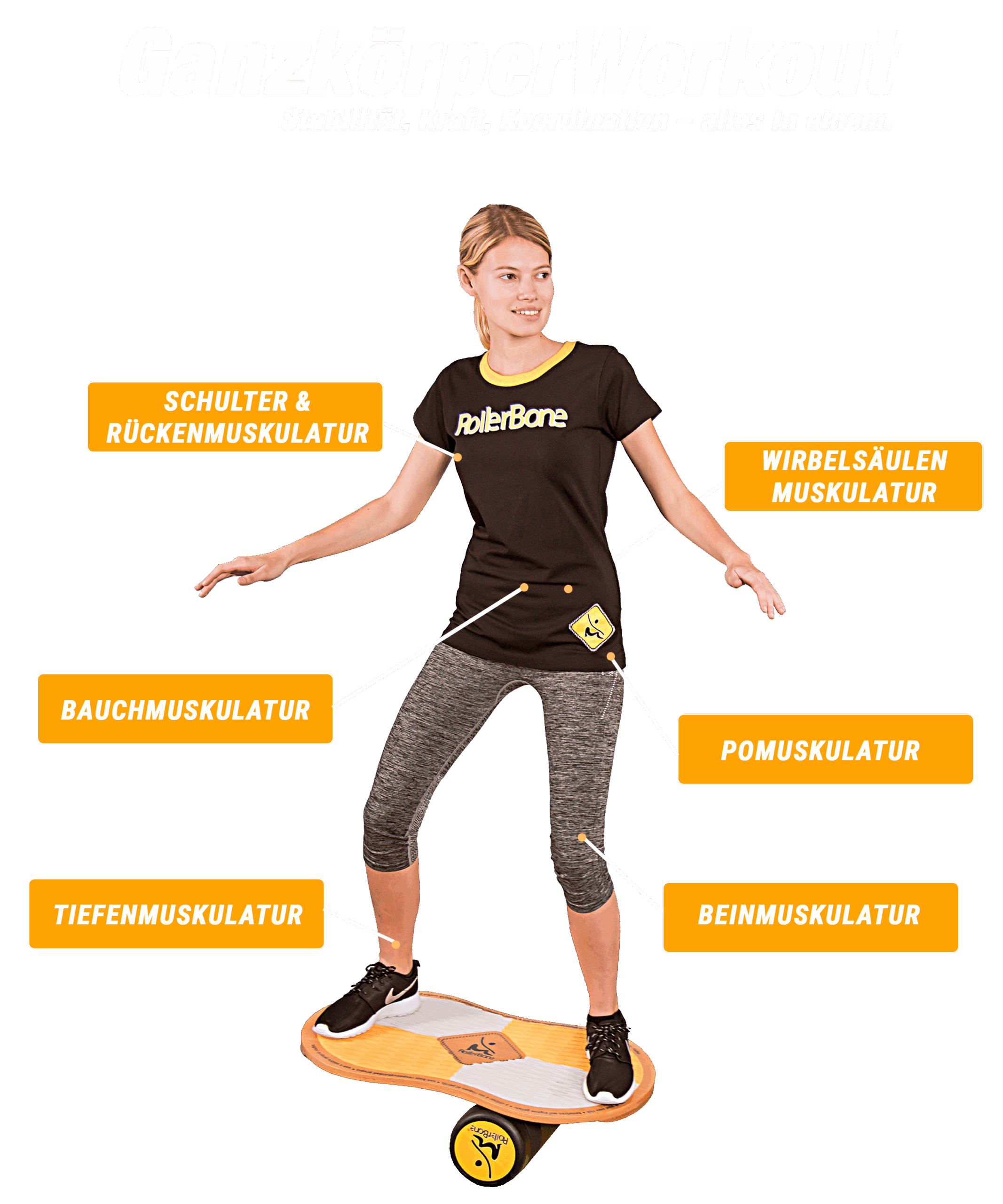 Roller Bone Gleichgewichts Trainer